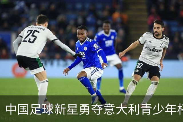 中国足球新星勇夺意大利青少年杯冠军！董路带队决赛力克英超劲旅埃弗顿