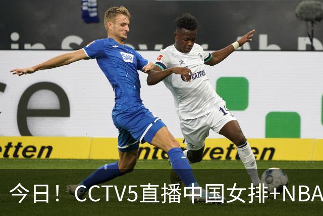 今日！CCTV5直播中国女排+NBA+法网+足球之夜，5+转中国男篮，网络转荷兰男足出战友谊赛